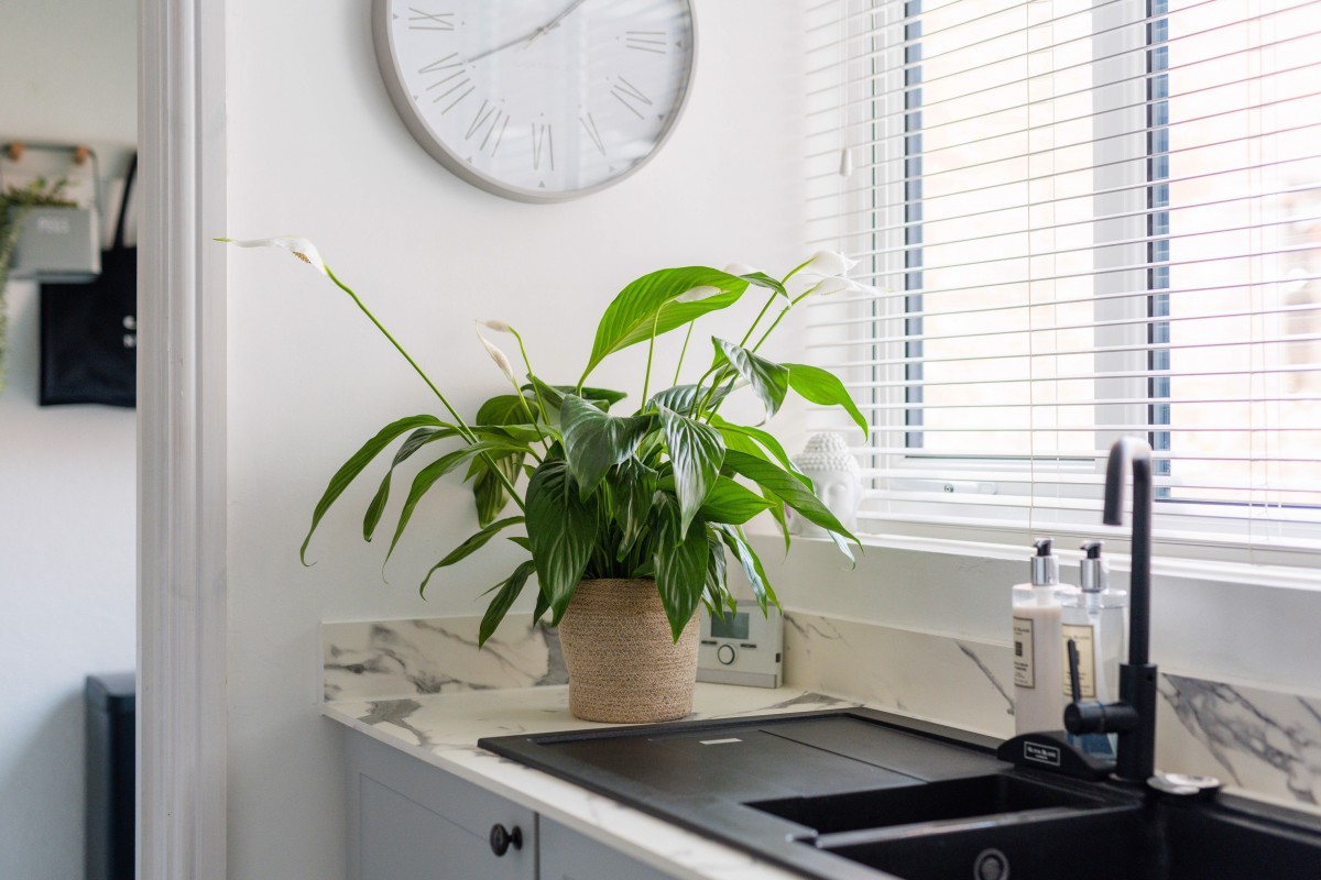 Images for Burscough Street, Ormskirk