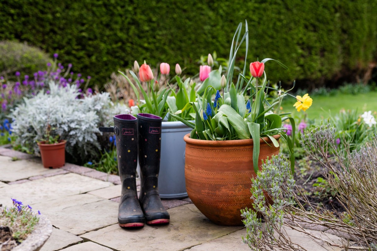 Images for Winifred Lane, Aughton, L39