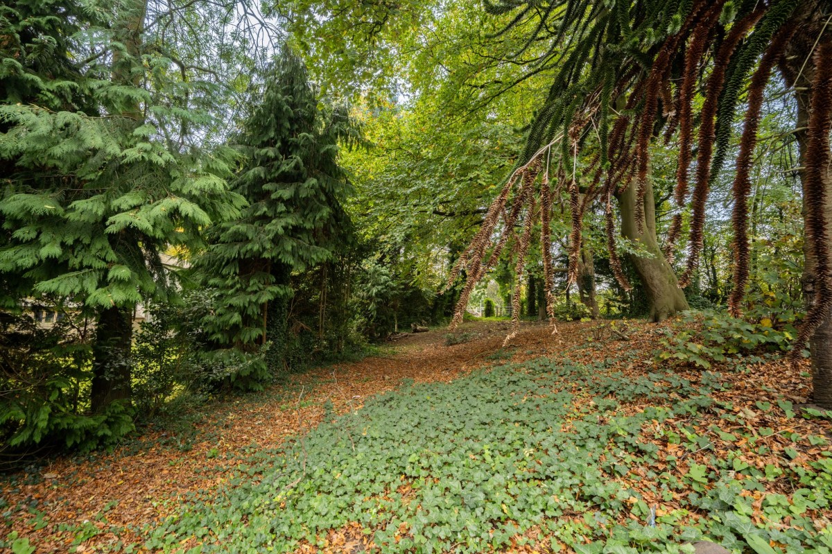 Images for Prescot Road, Aughton, L39