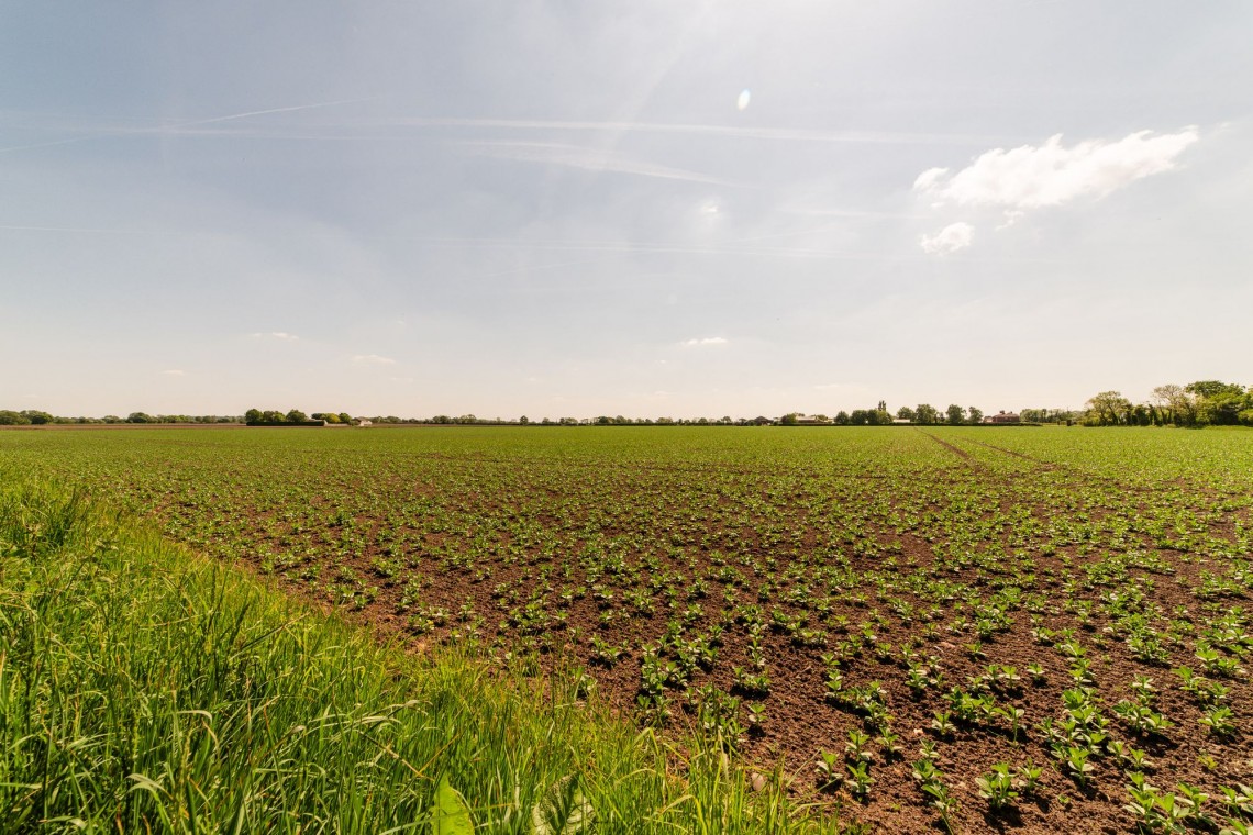 Images for Morris Lane, Halsall, L39