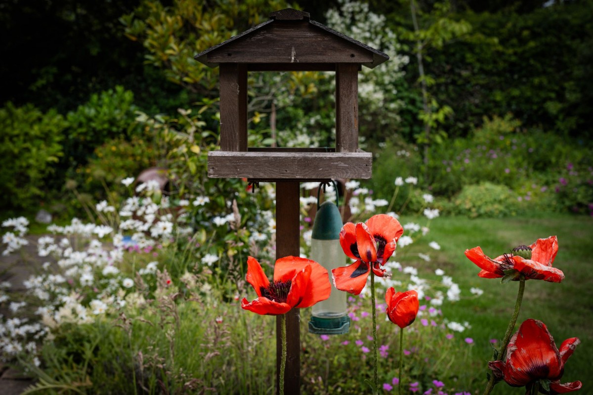 Images for Tan House Lane, Parbold, WN8