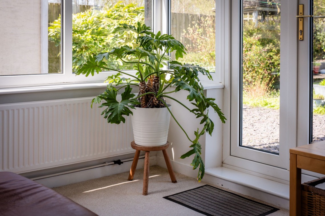Images for Black Moss Lane, Scarisbrick, L40