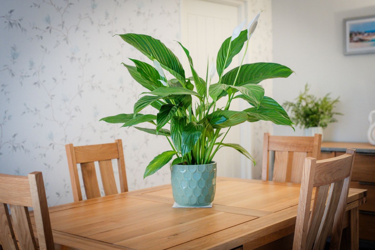 Images for Fordham Close, Southport, PR8