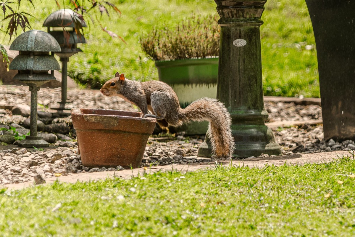 Images for Birkacre Brow, Coppull, PR7