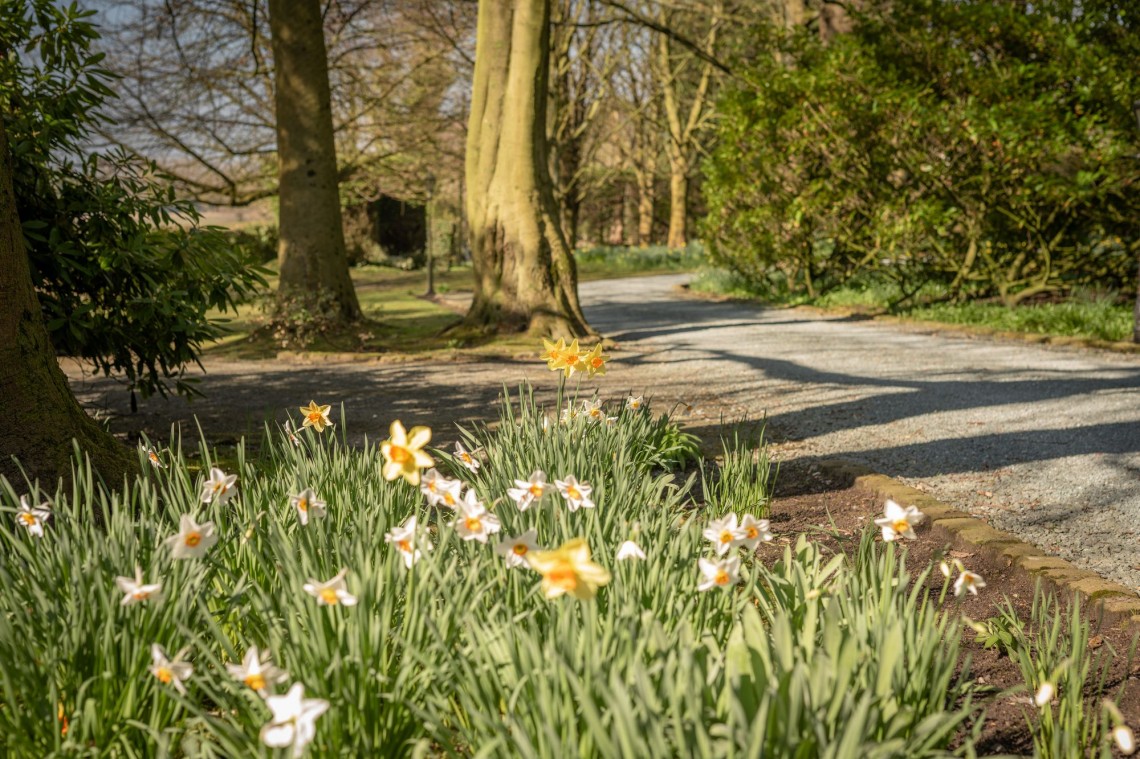 Images for Hall Lane, Lathom, L40